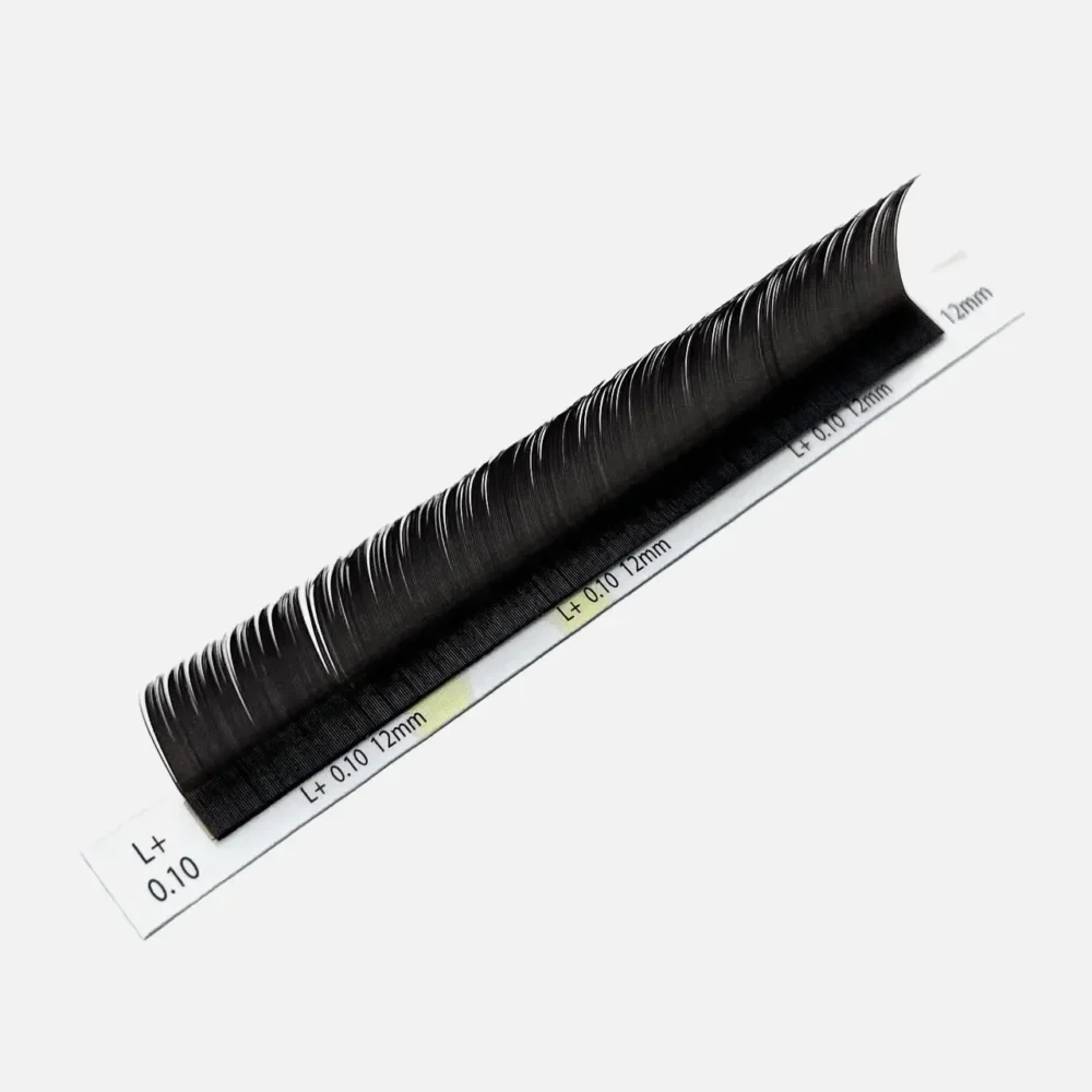 lash